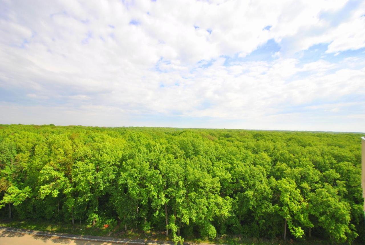 Foresthouse 1 Τιμισοάρα Εξωτερικό φωτογραφία