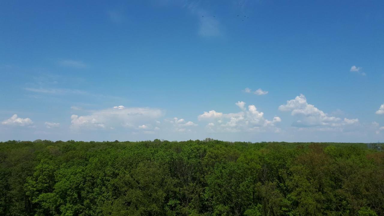 Foresthouse 1 Τιμισοάρα Εξωτερικό φωτογραφία